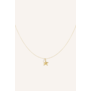 Ketting zeester | Goud