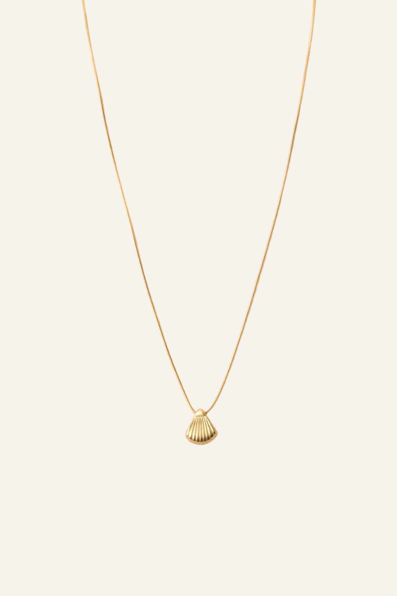 Ketting kleine schelp | Goud