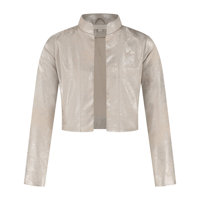 Vestje Olivia zilverkleurig