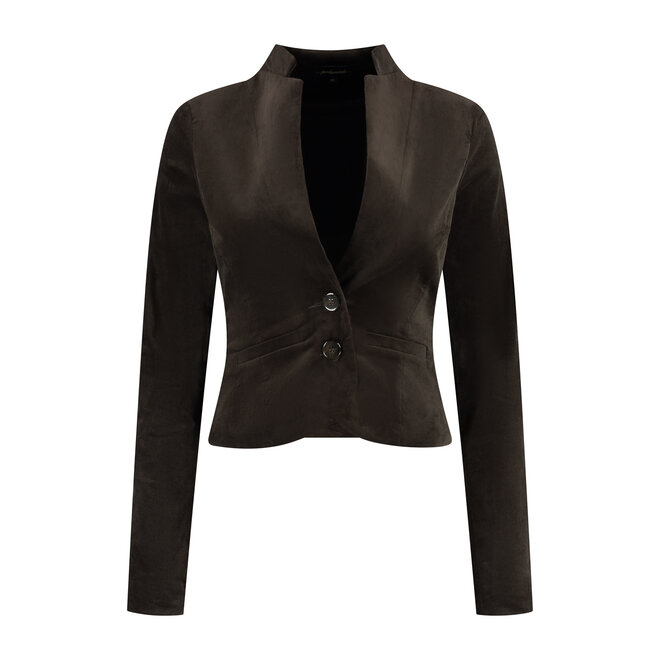 Jasje Hester donkerbruin