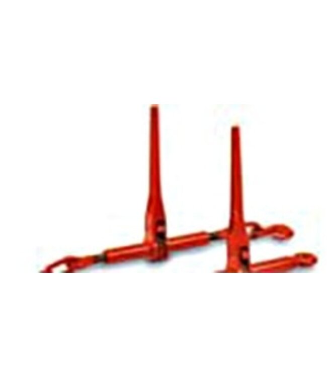 Cartec ratellastspanner met oog grade 80