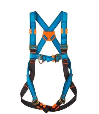 Veiligheidsgordel set