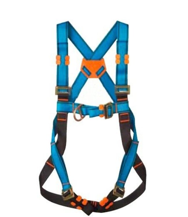 Veiligheidsgordel set