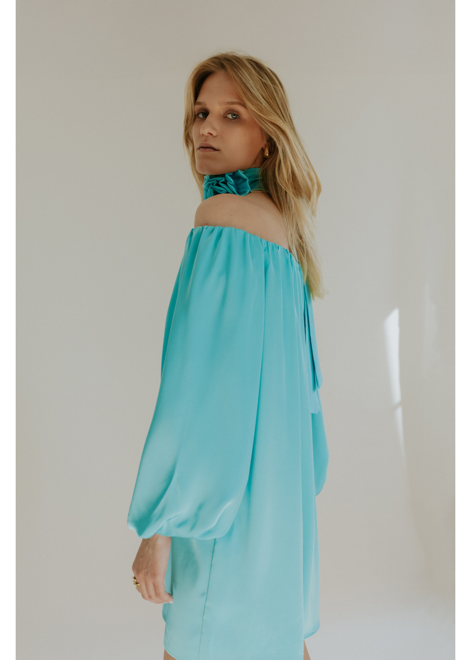 GISÈLE THE LABEL  CARLA BUSTIER DRESS