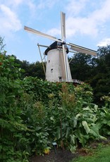 Boon Janumer boon (Stoksnijboon en - droogboon)