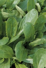 Veldsla Elan Veldsla Elan