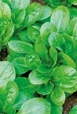 Veldsla Elan Veldsla Elan