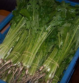 Diverse bladgroenten Repelsteeltje raapsteel