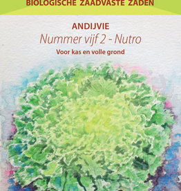 Andijvie Nummer Vijf 2 - NUTRO