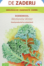 Boerenkool Westlandse Winter