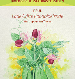 Peul Lage Grijze Roodbloeiende - Westrupper peul