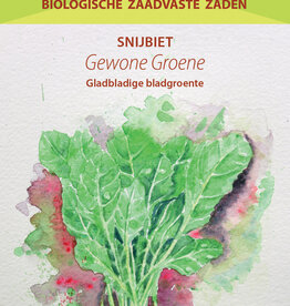 Snijbiet Gewone Groene (Snijbiet)