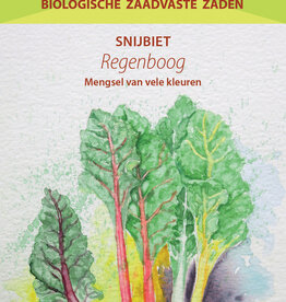 Snijbiet Regenboog