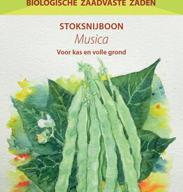 Boon Musica (Stoksnijboon)