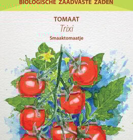 Tomaat Trixi