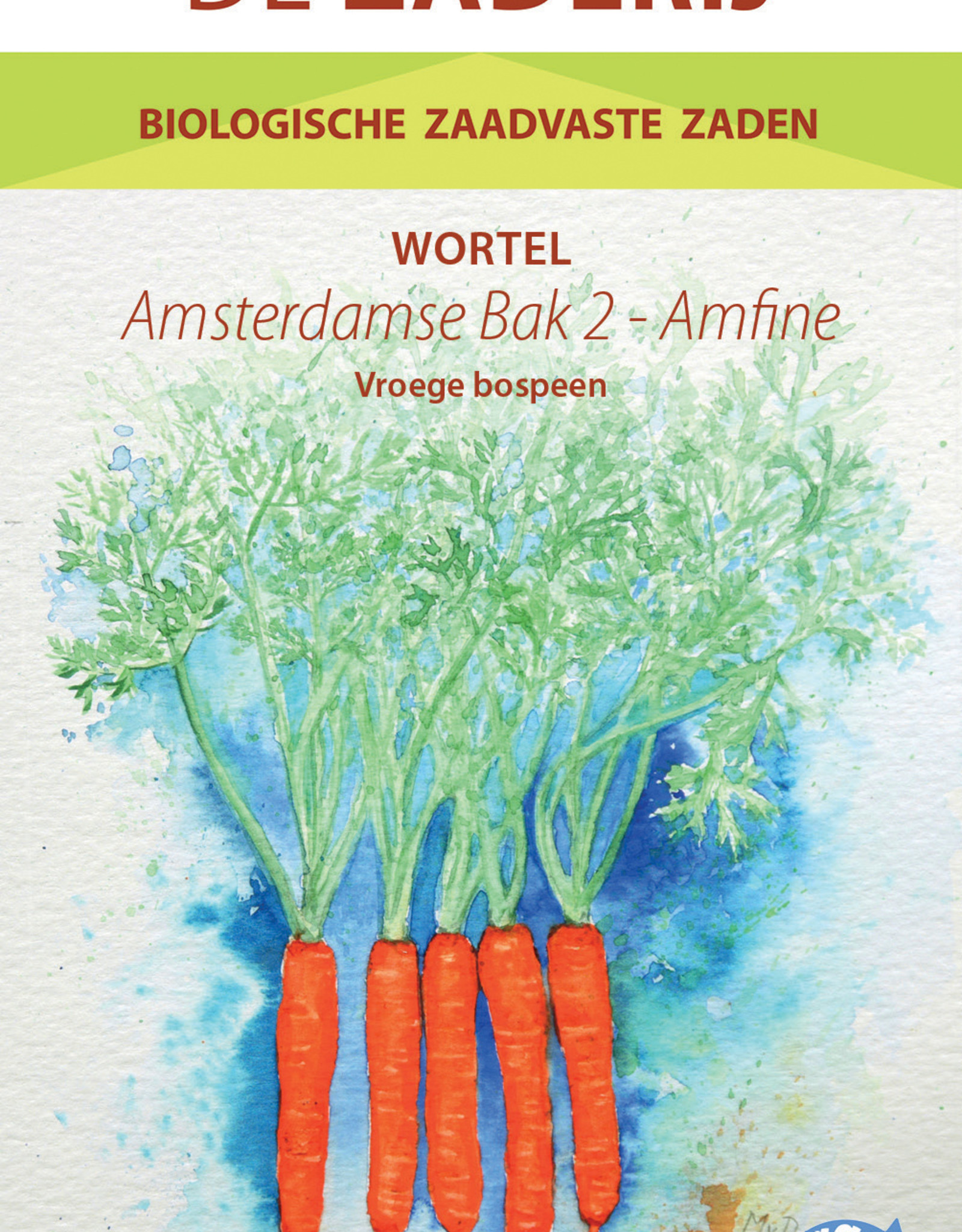 Wortel Wortel Amsterdamse Bak 2 - Amfine