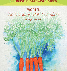 Diverse wortelgewassen Amsterdamse Bak 2 - Amfine (Bospeen)