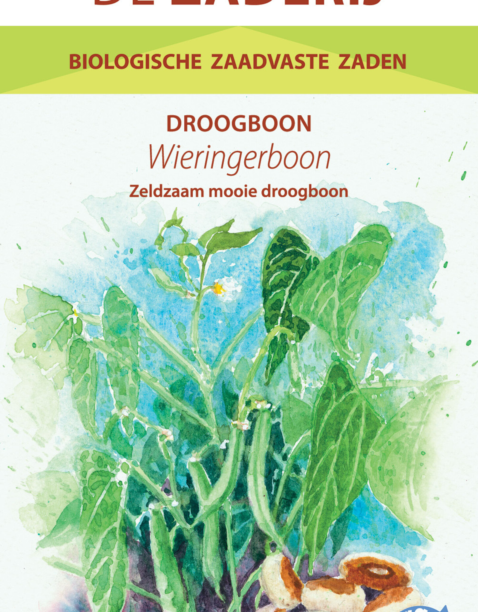 Droogboon Wieringer boon