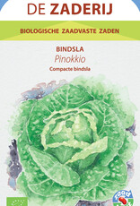 Sla Bindsla Pinokkio