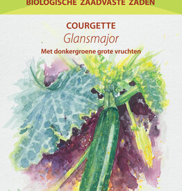 Courgette Glansmajor