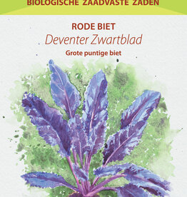 Rode Biet Deventer Zwartblad