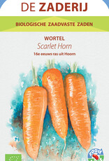 Wortel Scarlet Horn zomerwortel