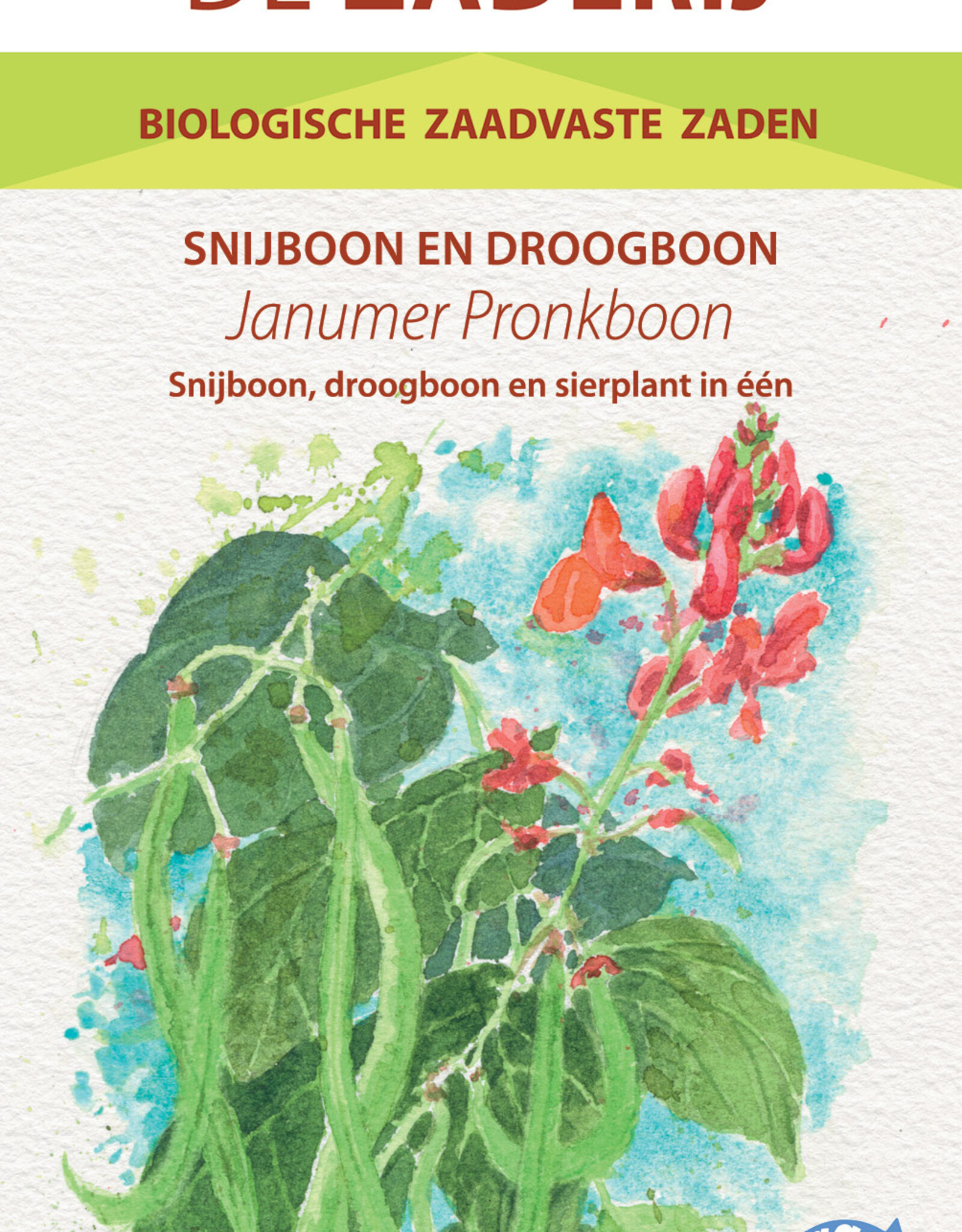 Pronkbonen Janumer boon (Stoksnijboon en - droogboon)