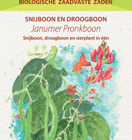 Pronkbonen Janumer boon (Stoksnijboon en - droogboon)