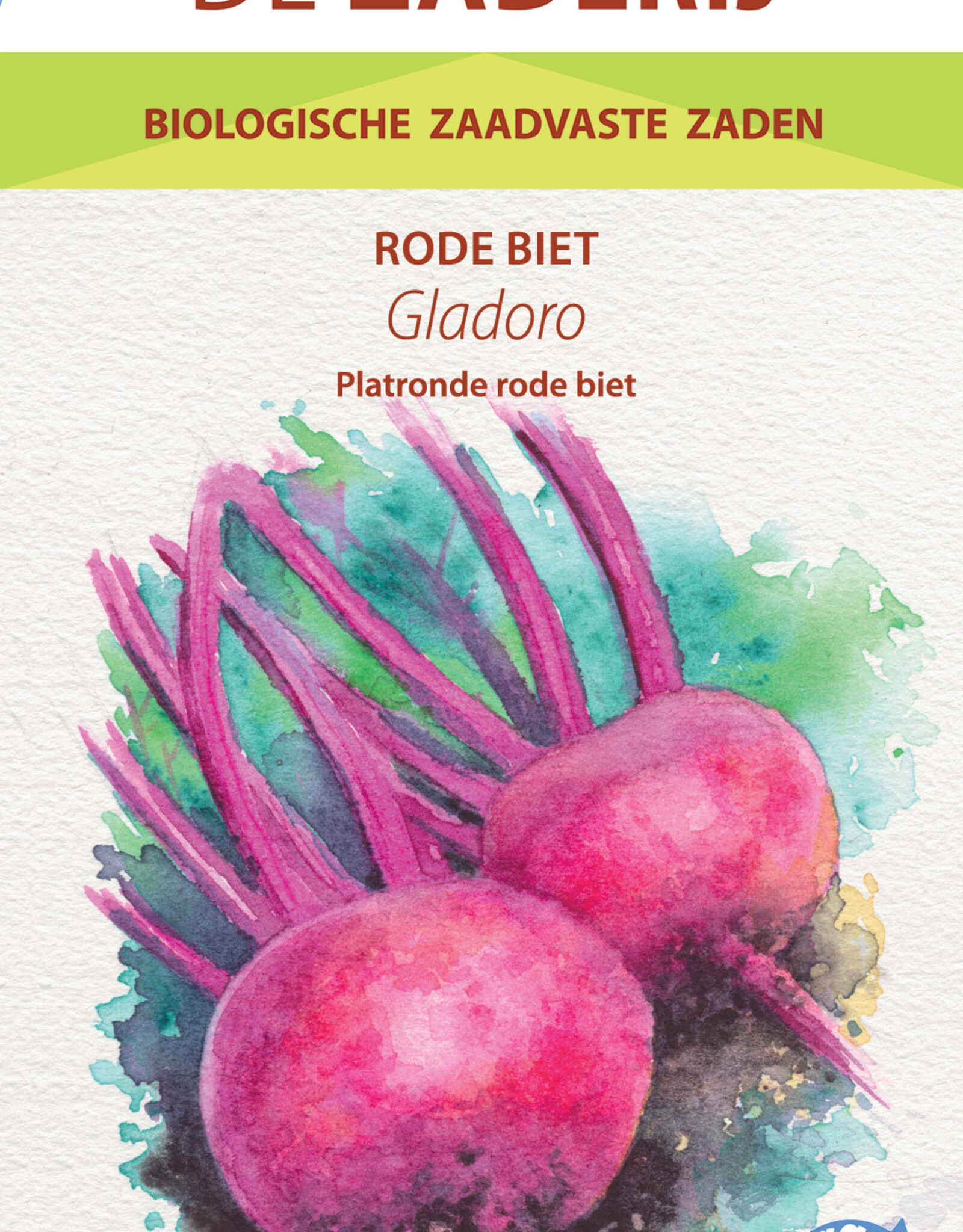 Rode Biet Gladoro platte gladde ronde rode  biet