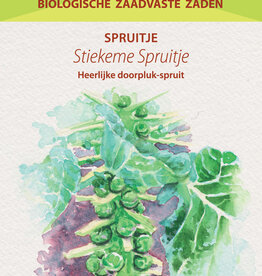 Stiekeme spruitje