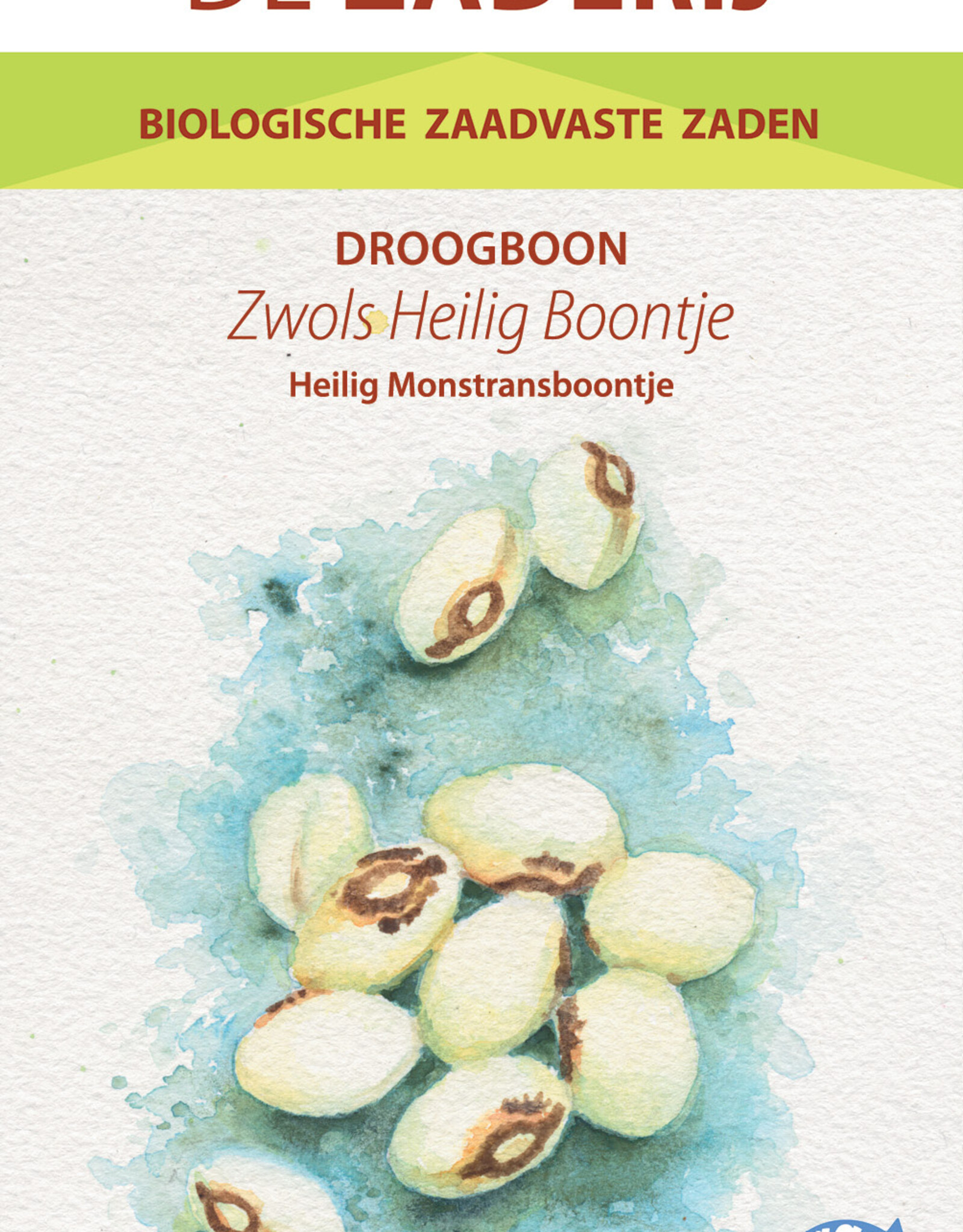 Droogboon Zwols Heilig Boontje