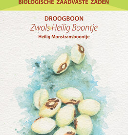 Boon Zwols Heilig Boontje (stamboon)