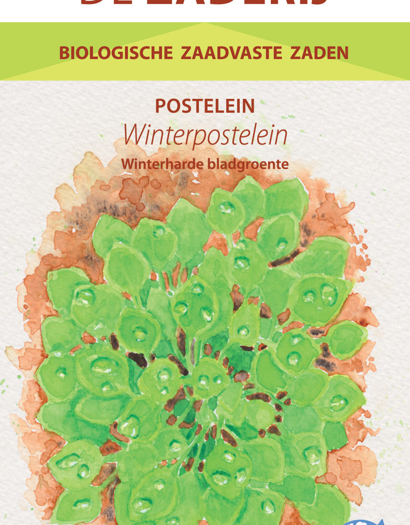 Diverse bladgroenten Winterpostelein