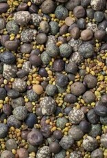 Groenbemester Groenbemestersmix Lauenauer