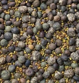 Groenbemester Groenbemestersmix Lauenauer