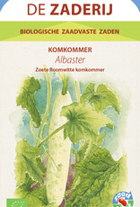 Komkommer Albaster bewaar komkommer