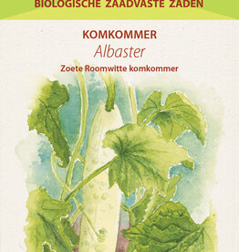 Albaster
