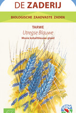Graan Utregse Blauwe