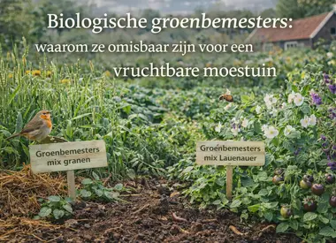 Biologische groenbemesters: waarom ze onmisbaar zijn voor een vruchtbare moestuin