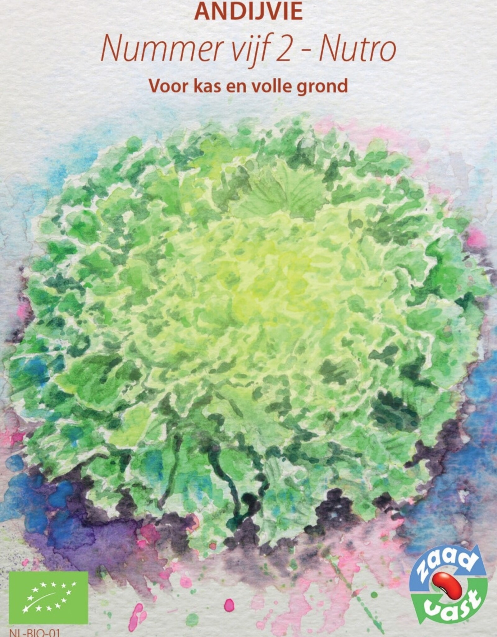 Andijvie Nummer Vijf 2 - NUTRO