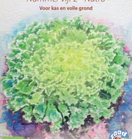 Andijvie Nummer Vijf 2 - NUTRO