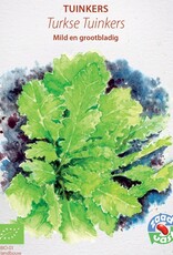Diverse bladgroenten Turkse grootbladige tuinkers - Lepidium sativum-