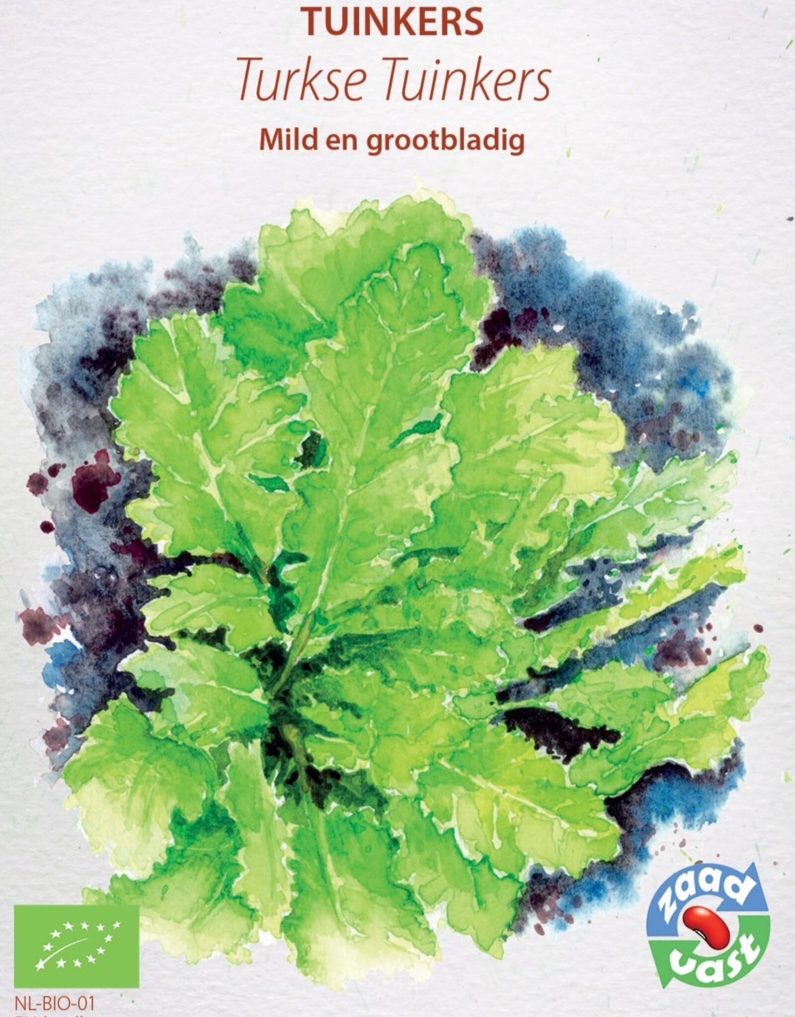 Diverse bladgroenten Turkse grootbladige tuinkers - Lepidium sativum-