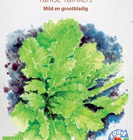 Diverse bladgroenten Turkse tuinkers