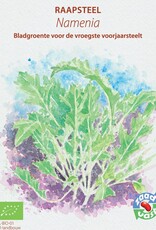 Diverse bladgroenten Namenia - Brassica rapa subsp. campestris