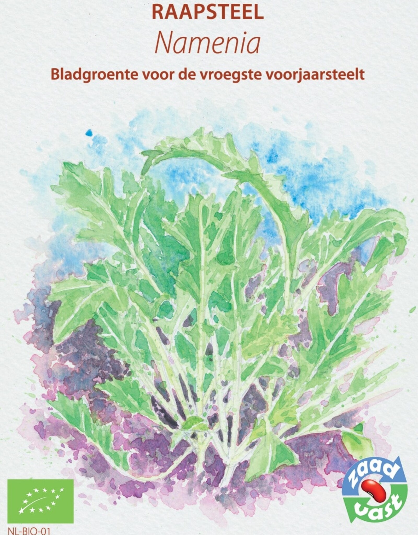 Diverse bladgroenten Namenia - Brassica rapa subsp. campestris