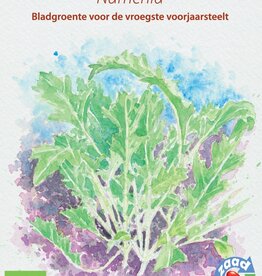 Diverse bladgroenten Namenia raapsteel