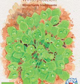 Diverse bladgroenten Winterpostelein