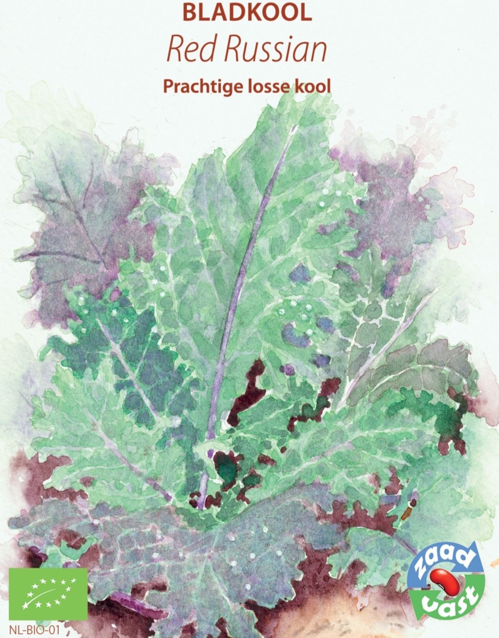 Palmkool Blad Kool - Red Russian