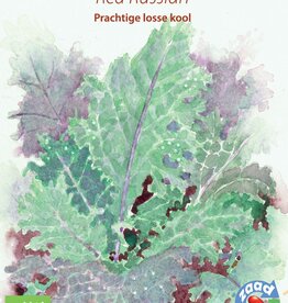 Palmkool Blad Kool - Red Russian